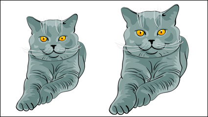 Le matriel animal chat 02 - vecteur