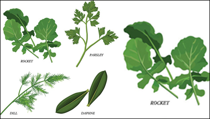 Feuilles de fines herbes 02 - matriel vecteur