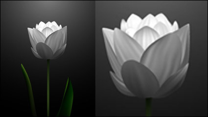 Blanc matriel vecteur tulipes -2
