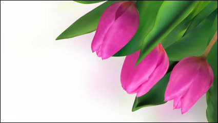 Lumineux tulipes 04 - matriel vecteur