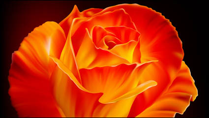 Matriel vecteur Roses
