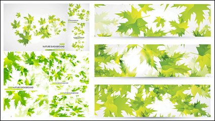 Les feuilles vertes vecteur matriel de fond