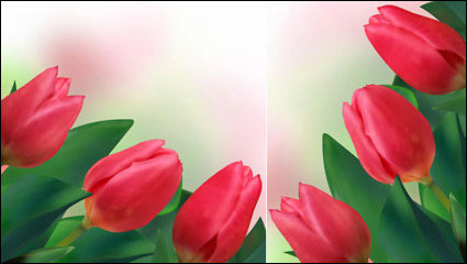 Tulipes lumineuses 02 - vecteur