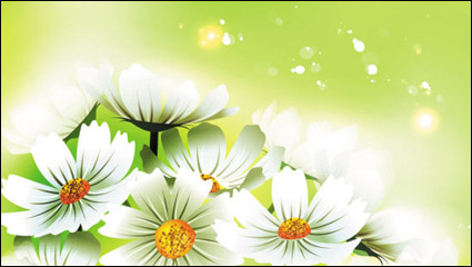 Belles fleurs - vecteur 01