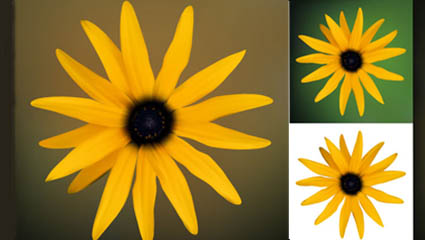 Petit daisy vecteur