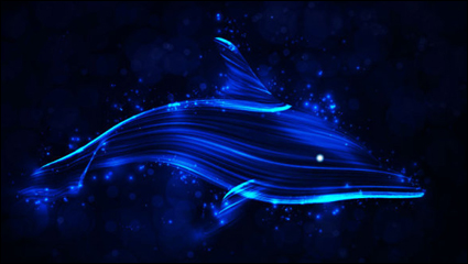 Colorful Dolphin 01 - matriel vecteur