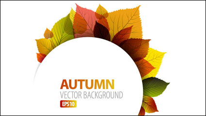 Autumn leaves vecteur matriel -1