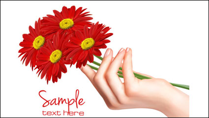Chrysanthemum 02 - matriel vecteur