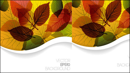 Autumn leaves -3 vecteur matriel conception