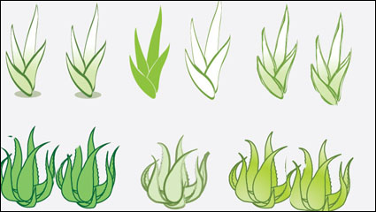 Matriel vecteur Aloe