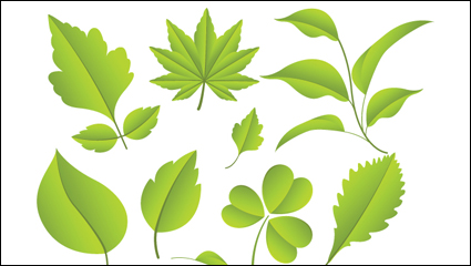 Feuilles matriel 02 - matriel vecteur