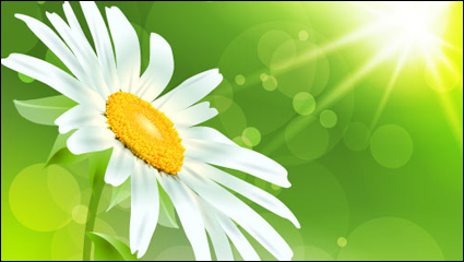 Fleurs exquises 04 - matriel vecteur