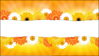 Fleurs fond dentelle ptales 04 - Vecteur
