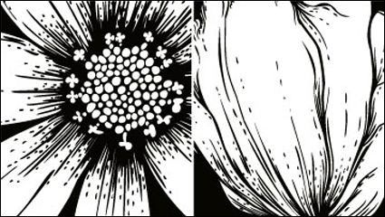 Le matriel vecteur fleurs gravure -1