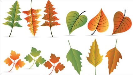 Feuilles matriel 04 - matriel vecteur
