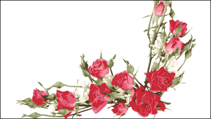 Rose bouquet 04 - matriel vecteur