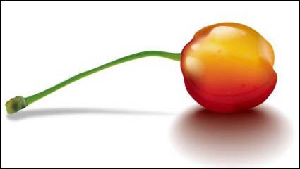 Le ralisme Vecteur de Cherry