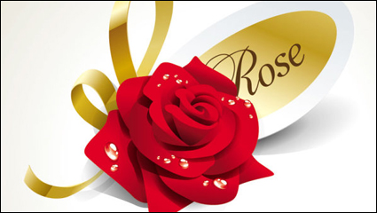 Belles roses 02 - matriel vecteur