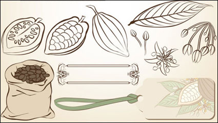 Fine ligne publi sur les fves de cacao - Vecteur