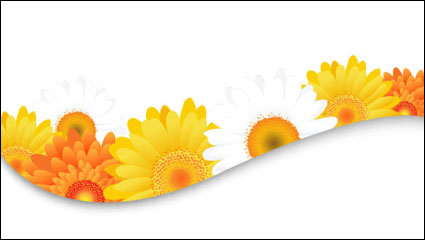 Ptales de fleurs fond de dentelle 03 - matriel vecteur