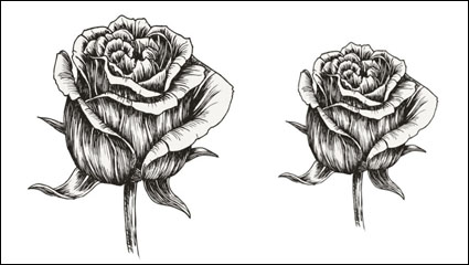 Peinte  la main matriau fleurs 05 - matriel vecteur