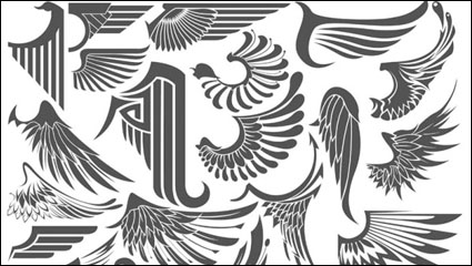 Ailes coule 01 - matriel vecteur