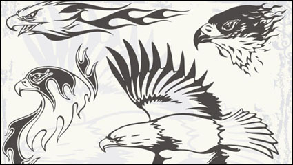 Eagle 01 - matriel vecteur