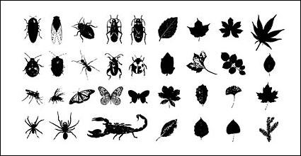 &Eacute;p��es, des oiseaux, des squelettes, les insectes, les feuilles de Vector