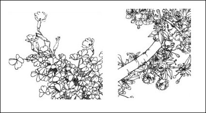 Fleur papillon, coquelicot, bleuets, poires, fleurs de la cerise