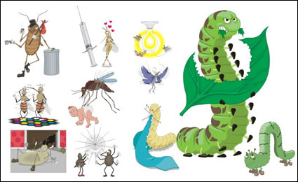 Les moustiques, cafards, araignes, toile d