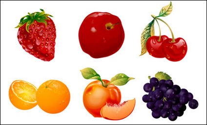 Ultra-fine fruits matriel Vector