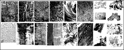 GoMedia Chupin texture vecteur