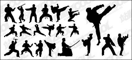 Kung Fu Action silhouette vecteur