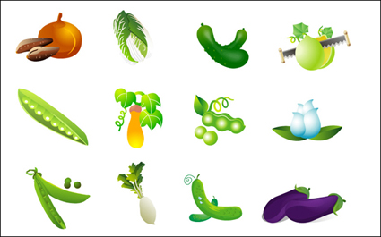Vecteur de lgumes - le chou, la patate douce, l