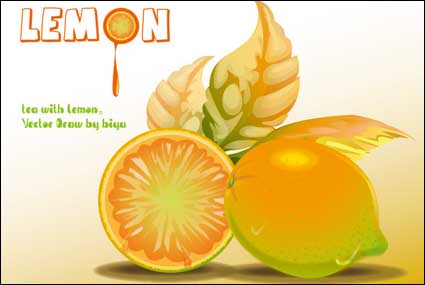 Matriel Vector citron